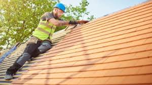Best Skylight Installation and Repair  in Taylor Creek, OH