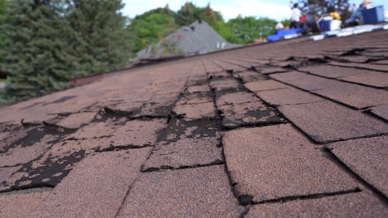 Fast & Reliable Emergency Roof Repairs in Taylor Creek, OH